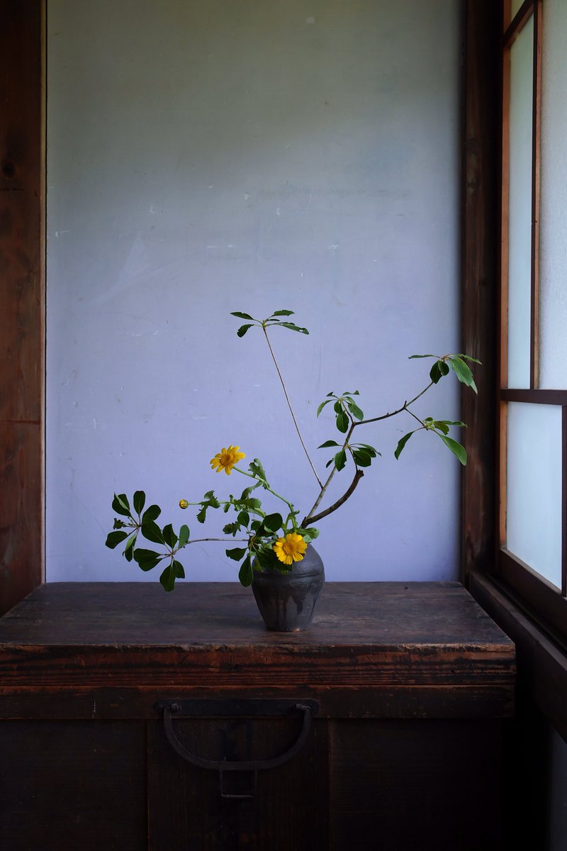 trois (@trois_archive_) on Twitter photo 