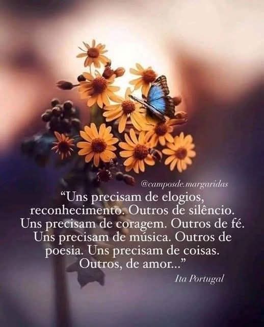 <a href="/cidaqueiroz/">Cida Queiróz⚡10 5 6 5</a> Bom dia Feliz segunda-feira!