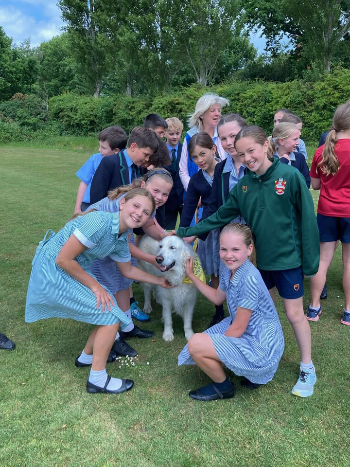 PetsAsTherapyUK's tweet photo. A heartfelt thank you to the amazing students at RGS Worcester for raising an incredible £400 for Pets As Therapy through their charity bake sale! Their weekly visits from PAT dog Jasmine have become a cherished highlight for both students and staff 💛 https://t.co/QQ2pjkwcZF