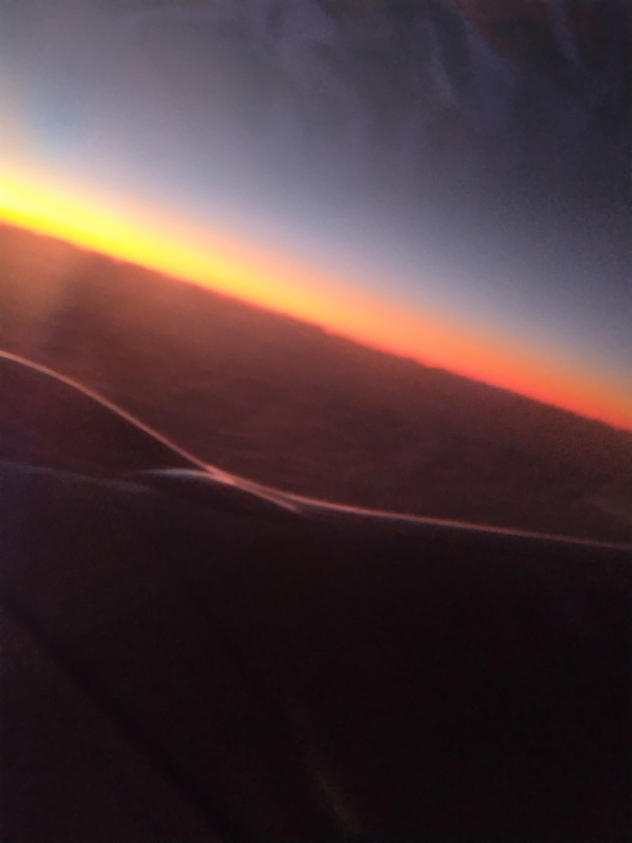 今から日本に帰ります〜
3週間毎日食べてたアボガド生活が終わるのは寂しいけど（アボガドは日本より安い＆大きい＆美味）

バイバイ、メルボルン！
またオーストラリアに戻れることを願って🌞