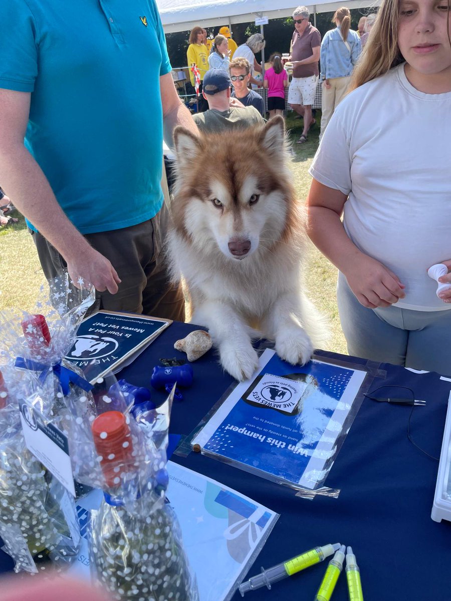 The Mewes Vets (@mewesvets) on Twitter photo Loads of fun at the #Rottingdean Fayre over the weekend! Met loads of existing clients, plus a fair few owners impressed that <a href="/MewesVets/">The Mewes Vets</a> remains one of the few independently-owned vet practices in the area! Thanks everyone & their dogs for stopping by to say hi ๐๐พ๐ #Brighton Loads of fun at the #Rottingdean Fayre over the weekend! Met loads of existing clients, plus a fair few owners impressed that <a href="/MewesVets/">The Mewes Vets</a> remains one of the few independently-owned vet practices in the area! Thanks everyone & their dogs for stopping by to say hi ๐๐พ๐ #Brighton