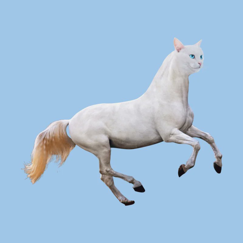 ayazyrule's tweet photo. $HOCA is not perfect.
She’s not fast. Not smart.
But she’s 100% committed to making your wallet gallop.
#HOCA #memecoin #Solana #DegenHorse https://t.co/uuYKEXW6ux