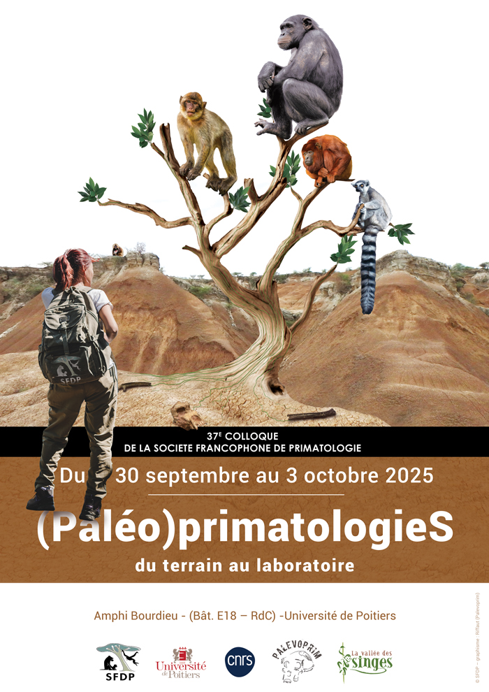 PALEVOPRIM (@palevoprim) on Twitter photo 🧐 J-15 avant la date limite de soumission des propositions de communication affichées et orales pour le prochain colloque de la <a href="/LaSFDP/">La Société Francophone de Primatologie - SFDP</a> 2025 qui se tiendra à Poitiers ! sfdp2025.sciencesconf.org <a href="/palevoprim/">PALEVOPRIM</a> <a href="/CNRSecologie/">CNRS Écologie & Environnement</a> <a href="/DR08_CNRS/">CNRS Centre Limousin Poitou Charente</a> 🧐 J-15 avant la date limite de soumission des propositions de communication affichées et orales pour le prochain colloque de la <a href="/LaSFDP/">La Société Francophone de Primatologie - SFDP</a> 2025 qui se tiendra à Poitiers ! sfdp2025.sciencesconf.org <a href="/palevoprim/">PALEVOPRIM</a> <a href="/CNRSecologie/">CNRS Écologie & Environnement</a> <a href="/DR08_CNRS/">CNRS Centre Limousin Poitou Charente</a>