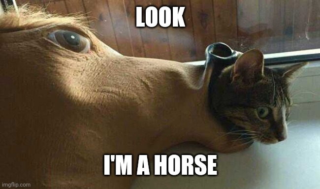 ayazyrule's tweet photo. “Why does your coin look like that?”
Because perfection is overrated.
Embrace the weird. Ride the $HOCA.
#WAGMI #HOCA #CryptoHorseCat https://t.co/yucYDY62JK