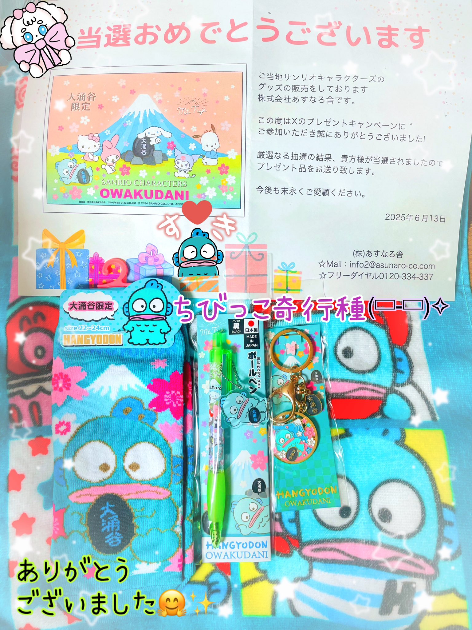 ご当地キティちゃん 13個