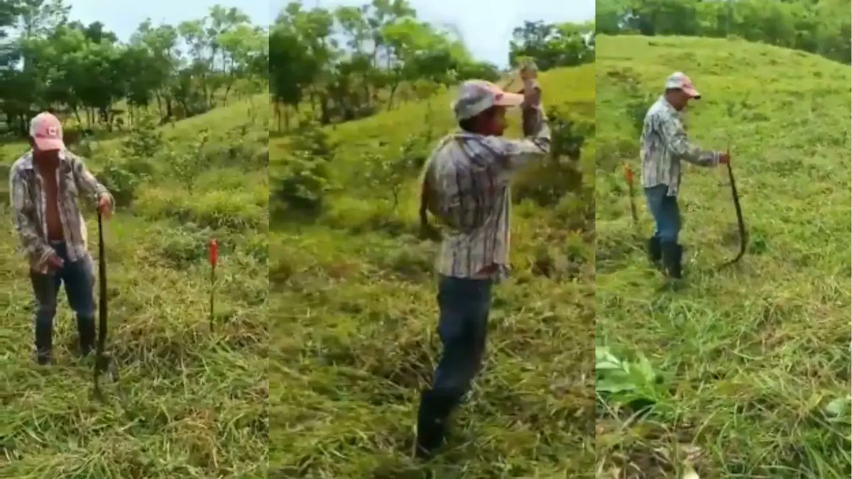 🔴Hondureño desafía a la muerte al atrapar una barba amarilla en Olancho
Aquí más detalles 👇
tunota.com/honduras-hoy/h…