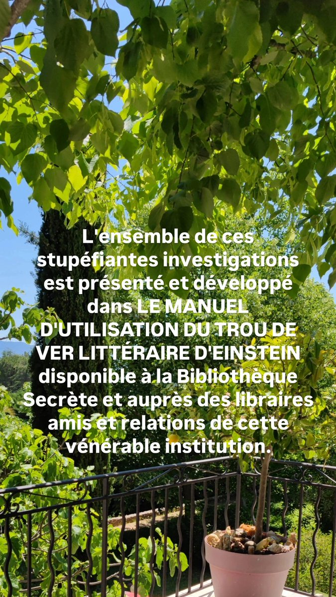 JardinSecrete's tweet photo. https://t.co/PVPT5nsbAE