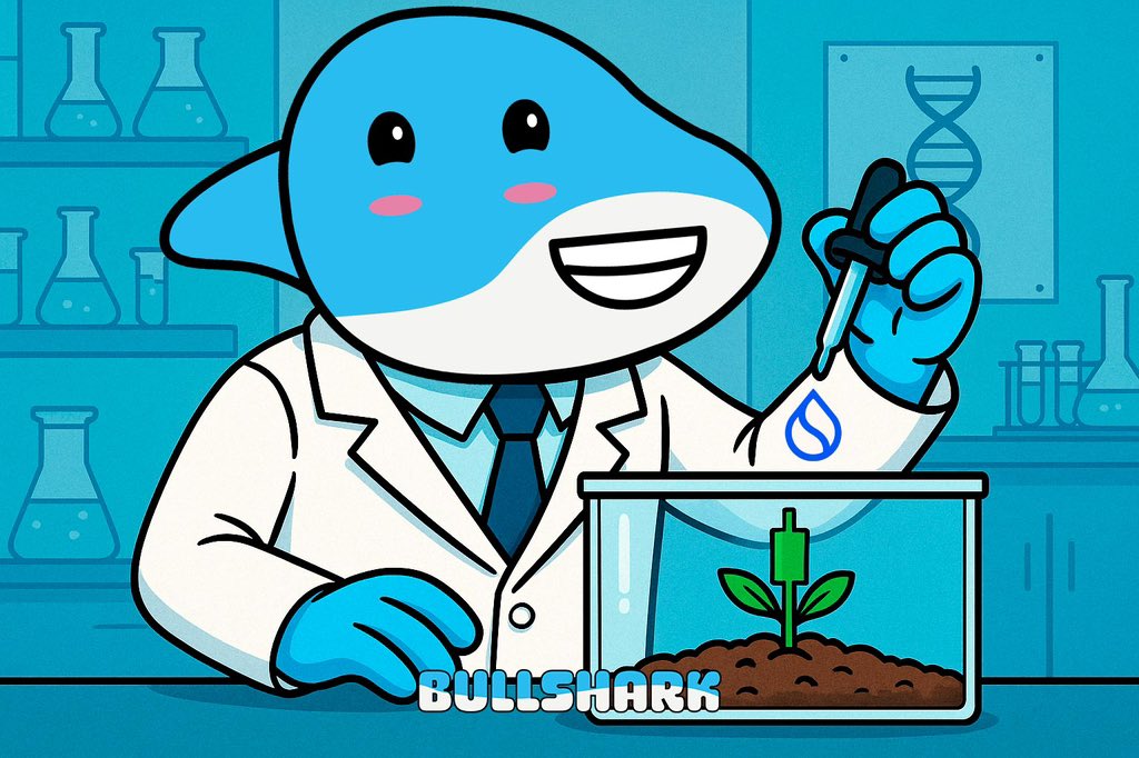 BullShark tweet media