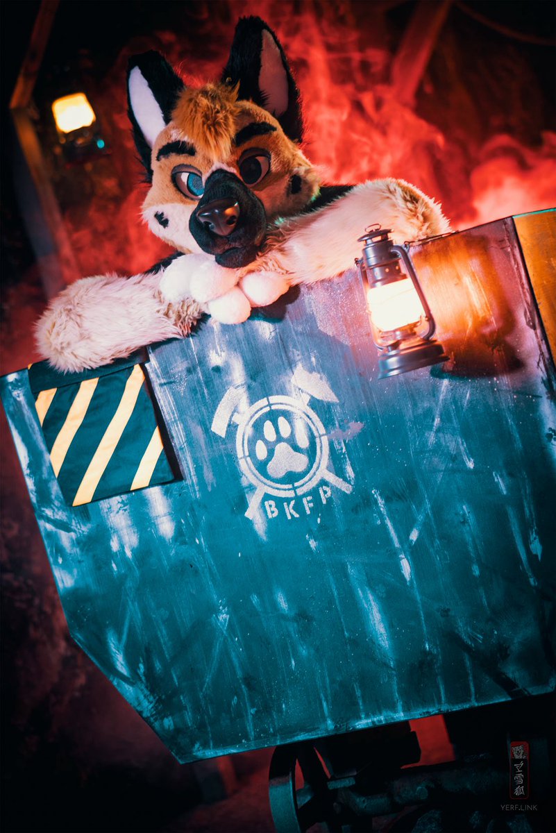 Himaru_Shepherd's tweet image. How about a ride?
#MFYMonday
πΈ@martinisnowfox
π @FurcietyD