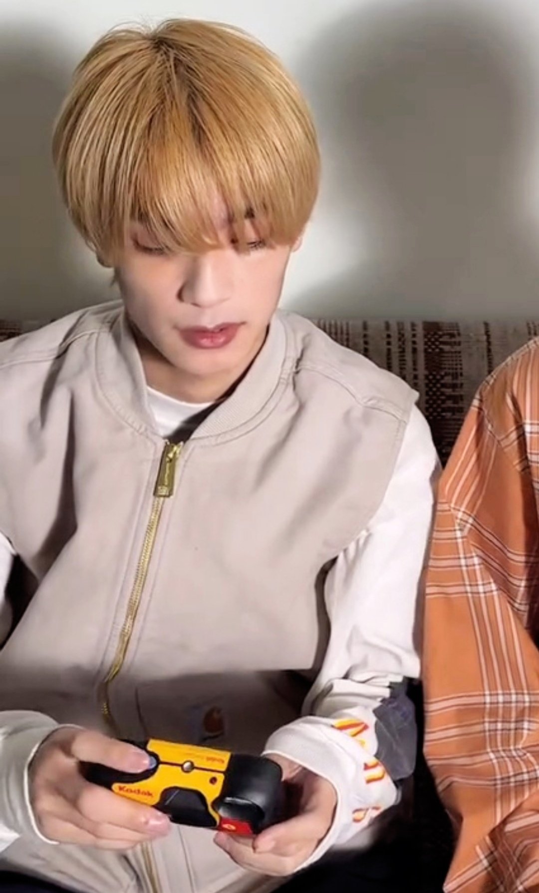 아쿄🐶🐨🐶🐱 on X: 