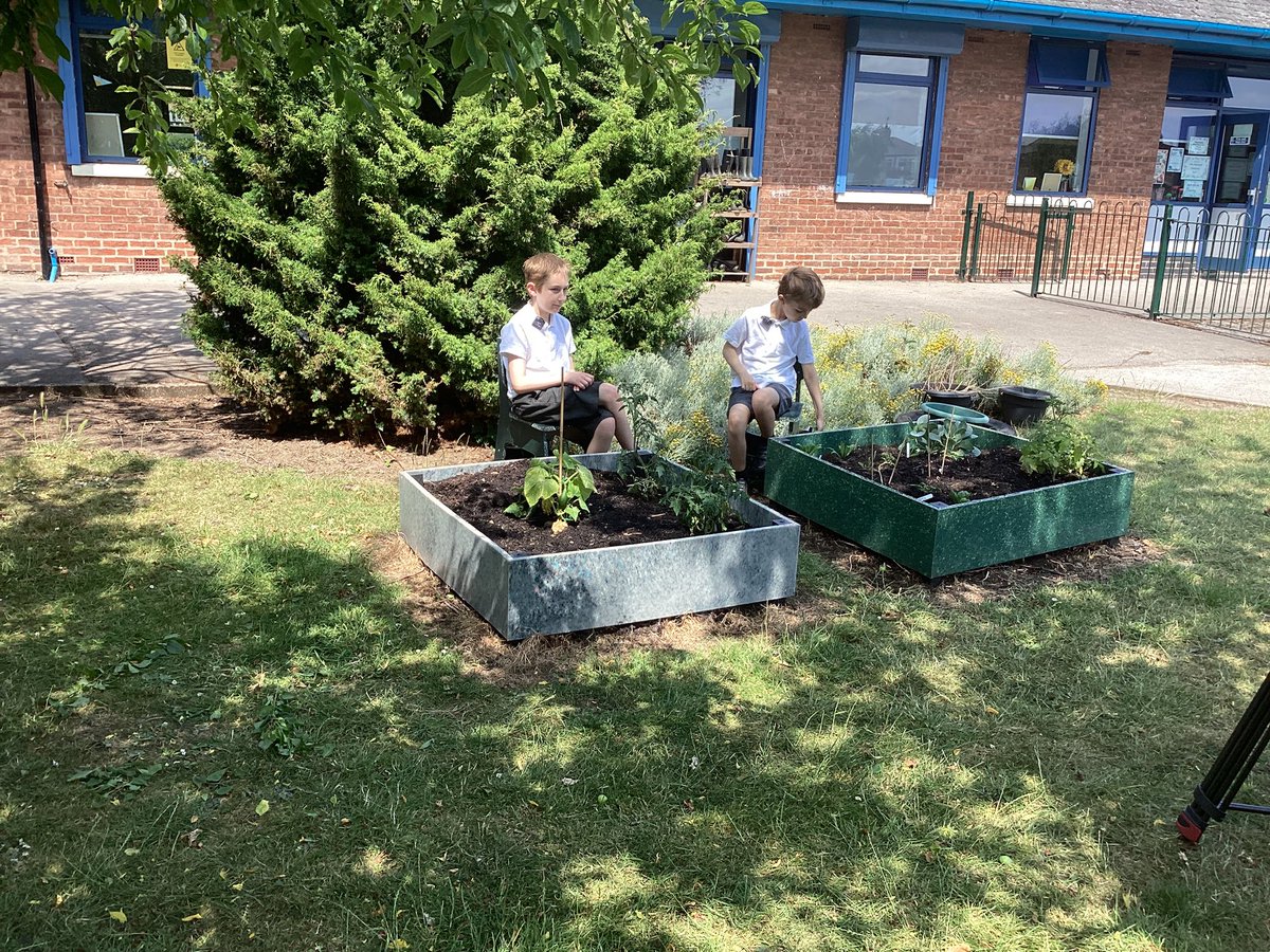 Penshurst Primary tweet media