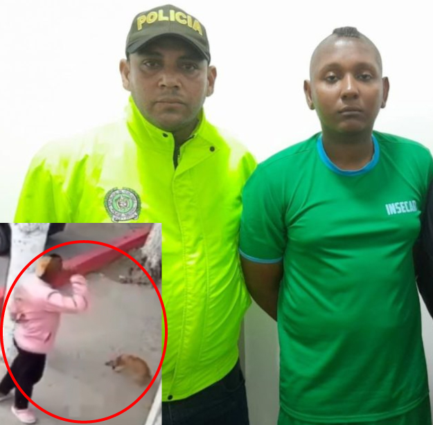 A la cárcel fue enviado Jeiner Maldonado, el cobarde que asesinó al perrito Pinky de una patada cuando paseaba por un andén en Santa Marta. 

El juez de control de garantías impuso a Maldonado medida de aseguramiento en establecimiento carcelario, pero provisionalmente deberá