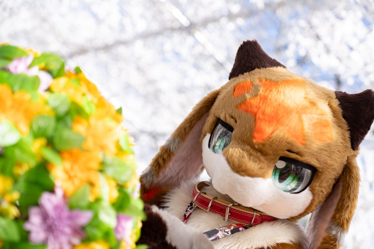 あるむちゃんのお口かわいい😘