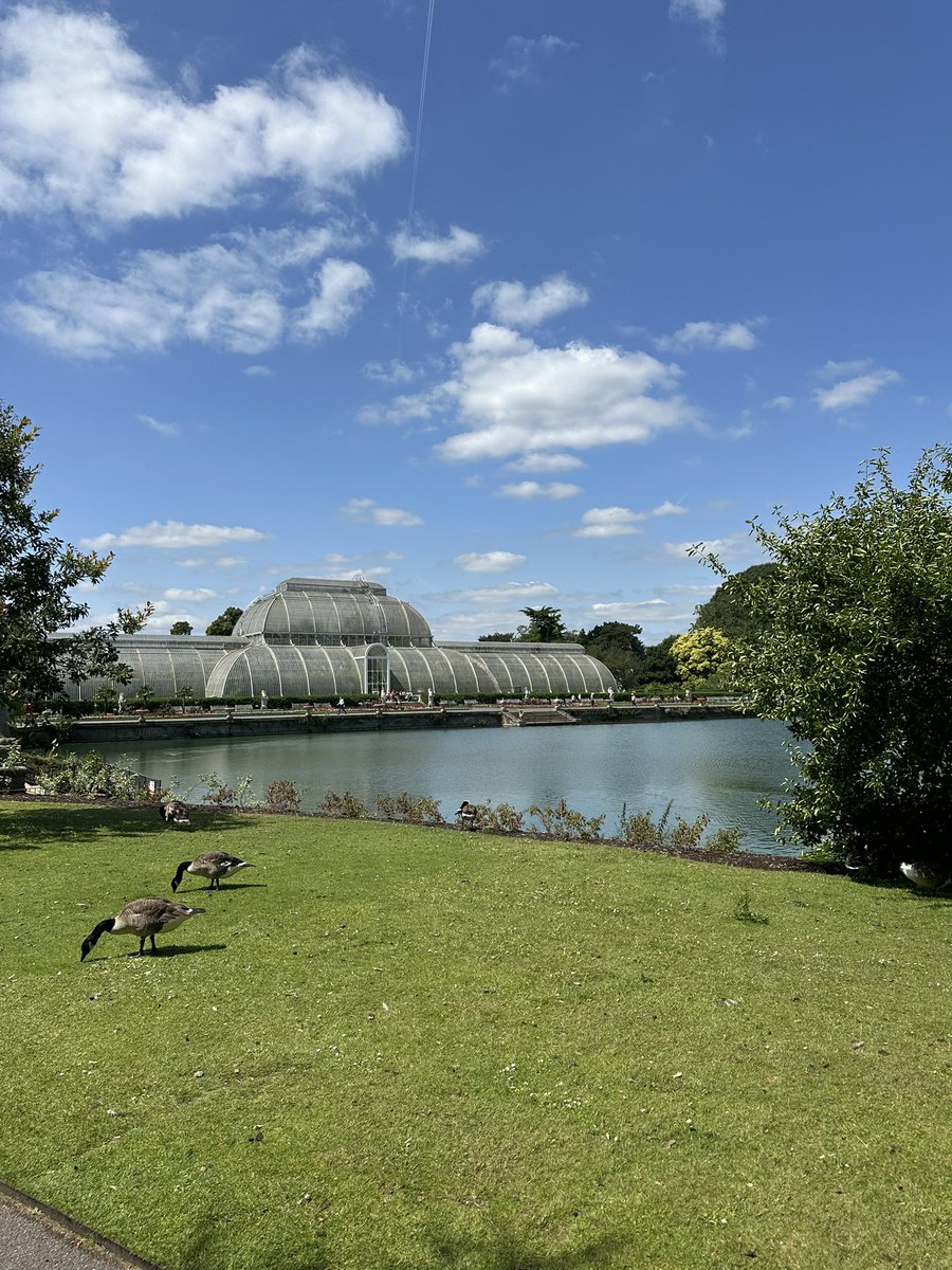 St Peter's Junior School tweet media