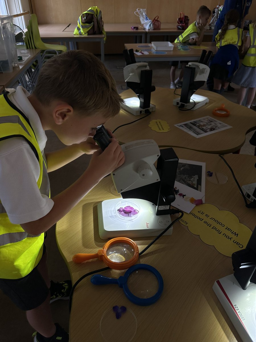 St Peter's Junior School tweet media