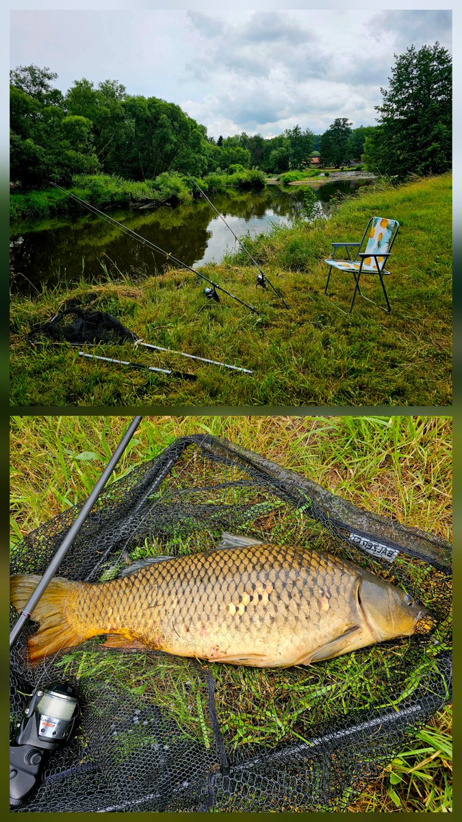 Yeah. Korl Riesenkarpf. 🐟