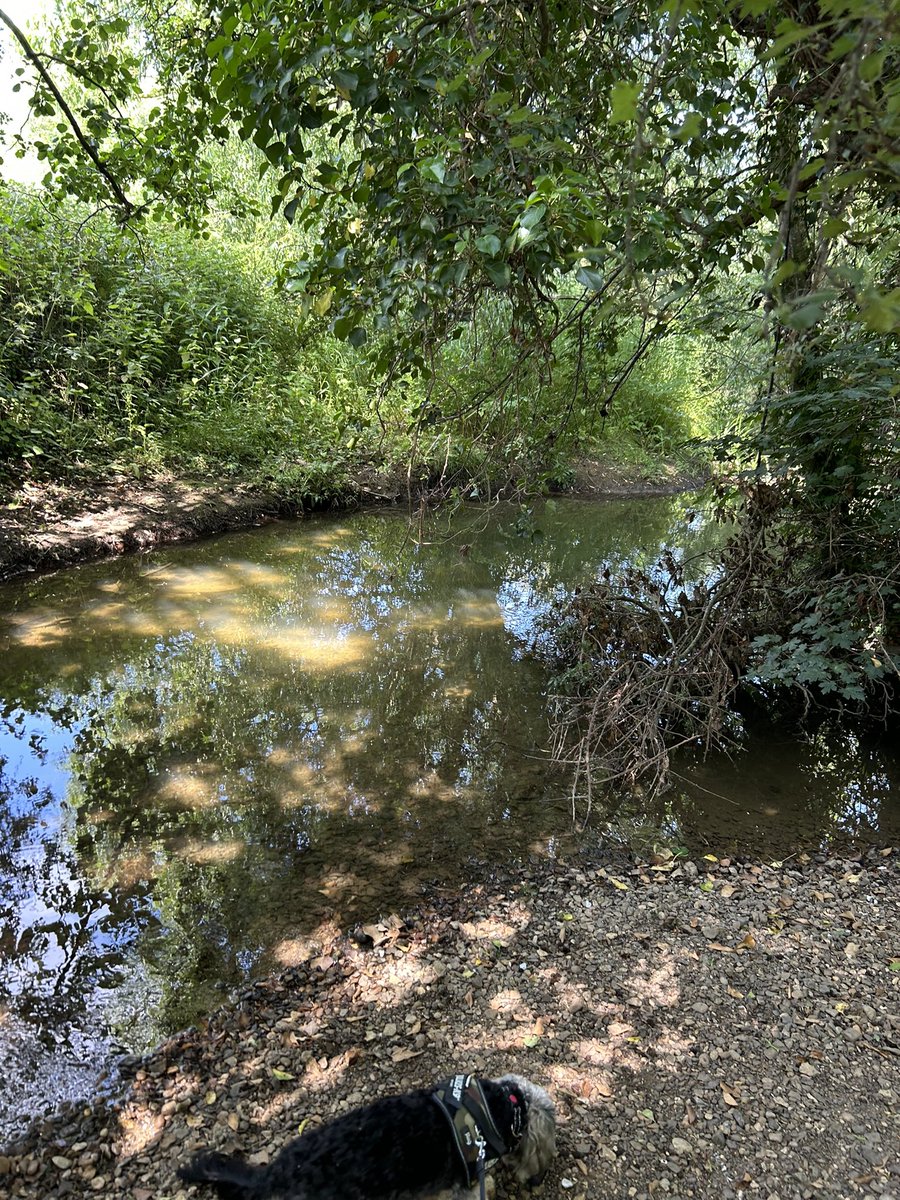 Kettering Wildlife corner tweet media