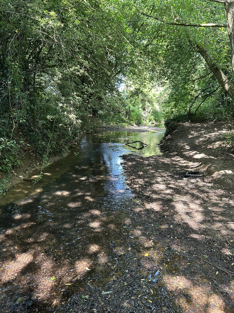 Kettering Wildlife corner tweet media