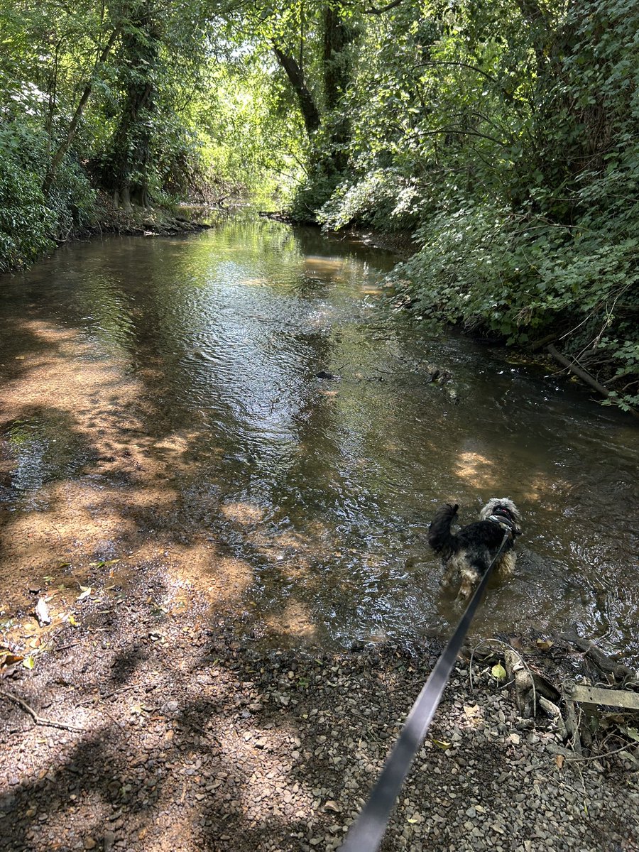Kettering Wildlife corner tweet media