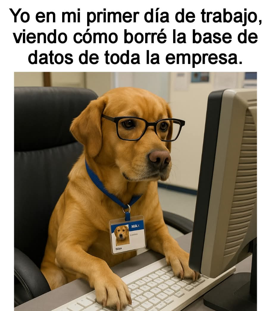 vanbato_'s tweet photo. 😌 https://t.co/3mJaPXmbRa