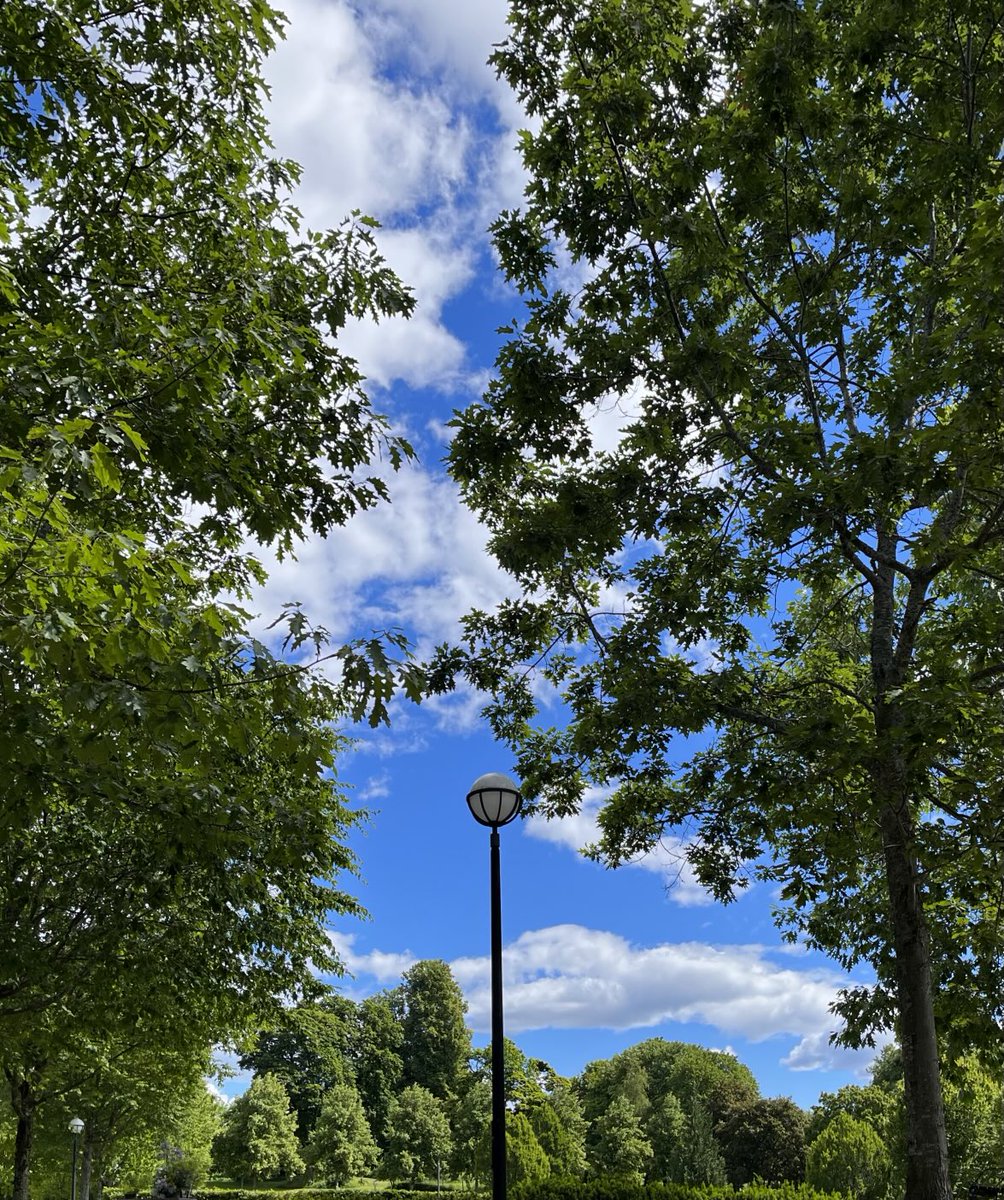 The sky opens with hope and the gentle breeze whispers unity,let us embrace peace.May every heart find stillness,every conflict dissolve,and every soul unite in harmony.let peace flourish like the leaves above, spreading its green embrace across the world.🌎💚🕊️