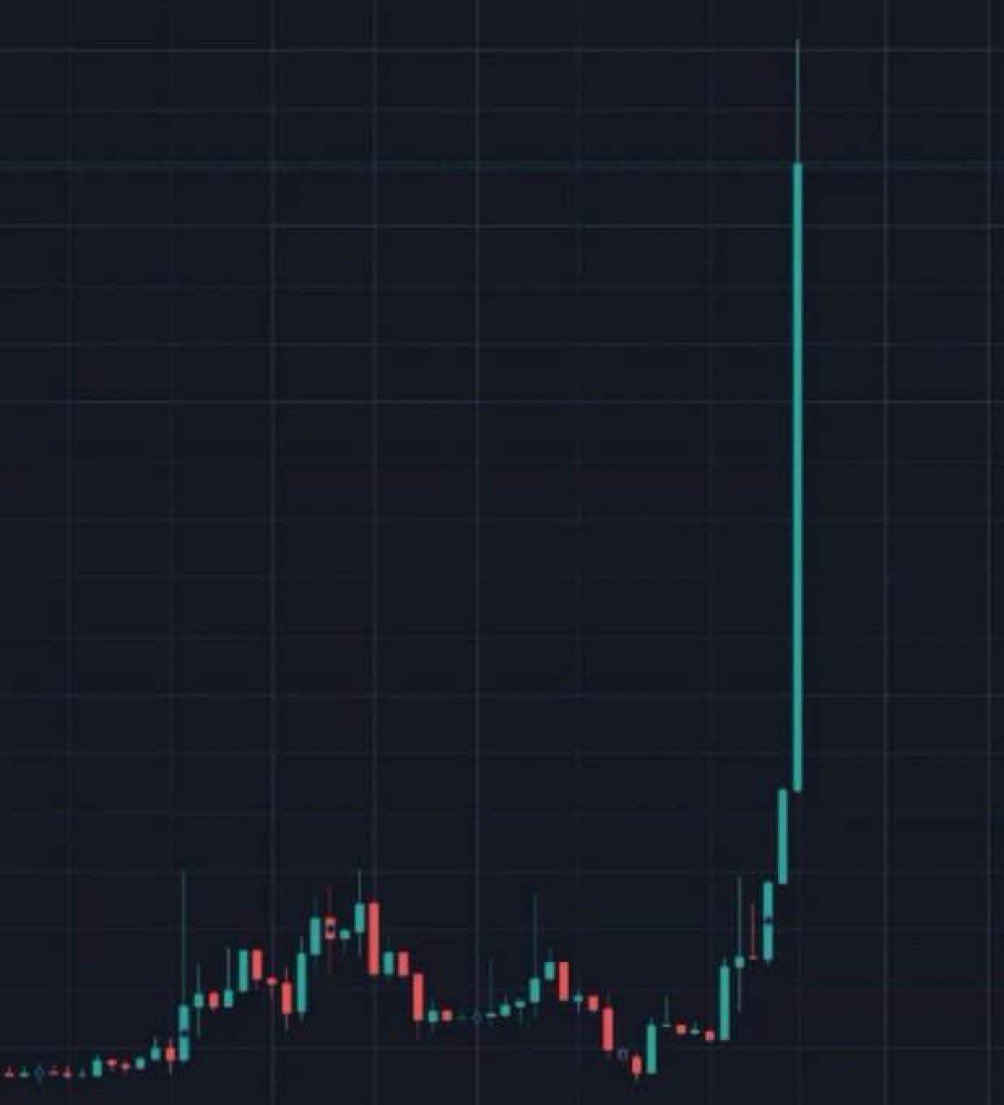 CATSOLANA1412's tweet photo. What's a memecoin that will do this? https://t.co/QF1oa55zK7