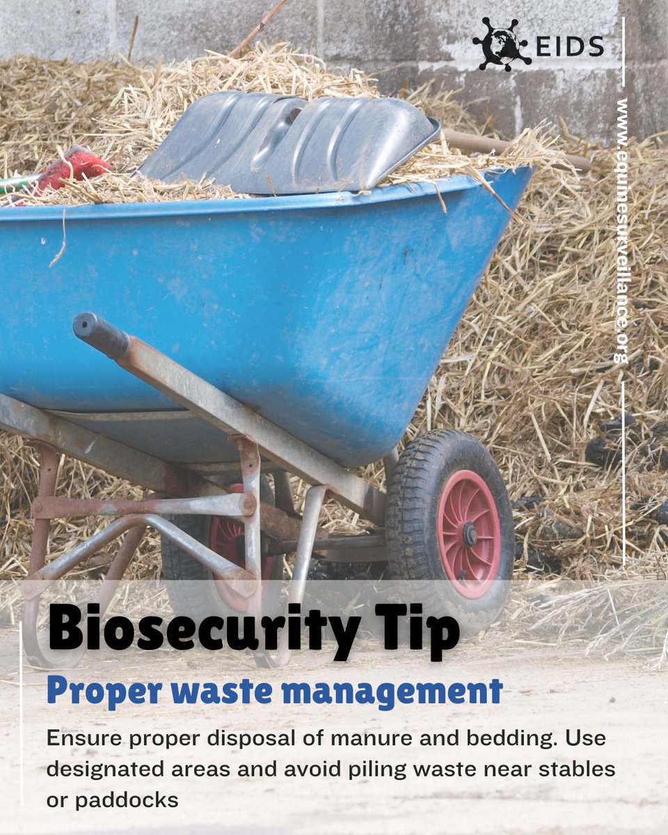 🏅As part of our ongoing commitment to biosecurity, EIDS brings you this week's vital tip. Here is Tip Number 4:
✨Proper Waste Management✨
For more info see our Facebook post: facebook.com/EquineInfectio…