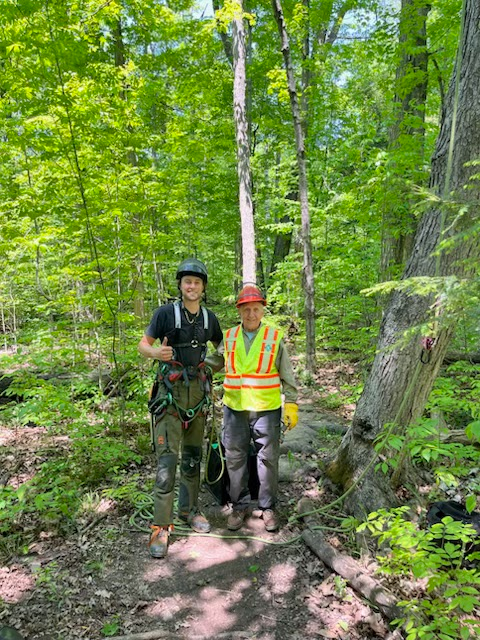 Toronto Bruce Trail tweet media