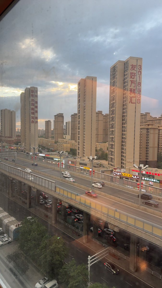 枯木逢春 tweet media