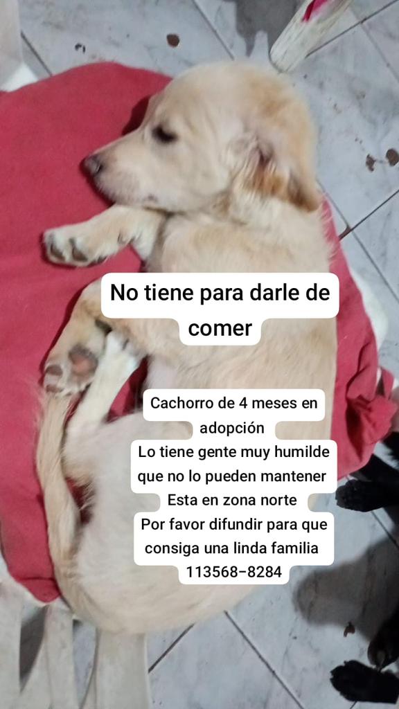 Rt
Ayuda urgente!!!