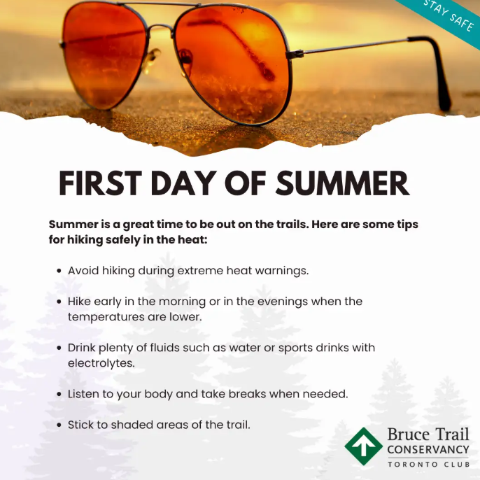 Toronto Bruce Trail tweet media