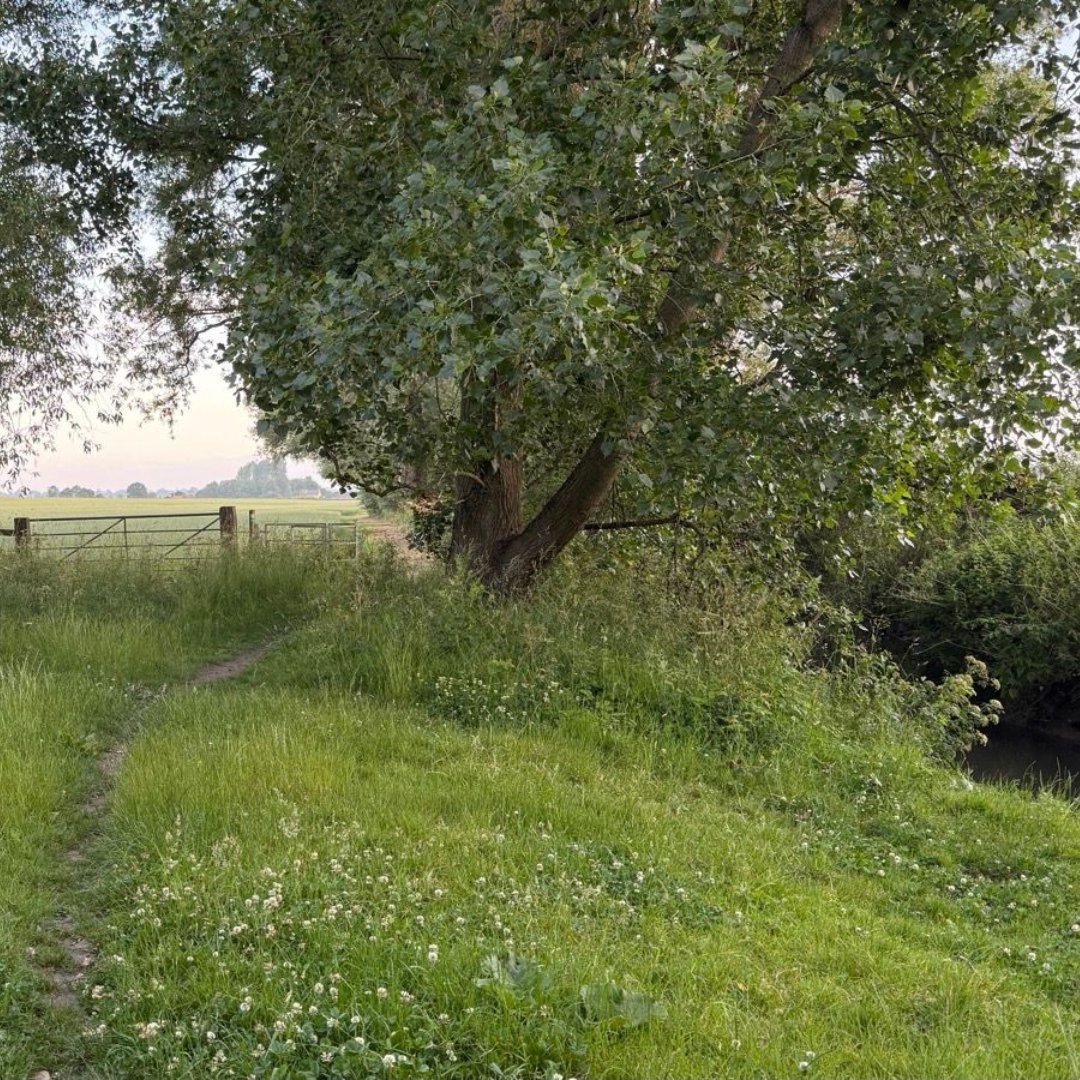 VisibleThread's tweet image. From a lunchtime team walk in Dublin 🇮🇪, countryside strolls in the UK 🇬🇧, to beach runs in sunny Portugal! 🇵🇹

Join us: eu1.hubs.ly/H0l0F0k0

#MentalHealthAwareness #ActiveMinds #BurnoutPrevention #GlobalChallenge #Strava