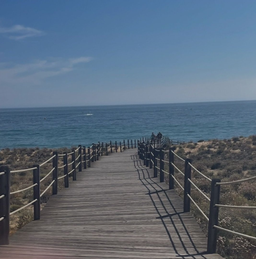 VisibleThread's tweet image. From a lunchtime team walk in Dublin 🇮🇪, countryside strolls in the UK 🇬🇧, to beach runs in sunny Portugal! 🇵🇹

Join us: eu1.hubs.ly/H0l0F0k0

#MentalHealthAwareness #ActiveMinds #BurnoutPrevention #GlobalChallenge #Strava