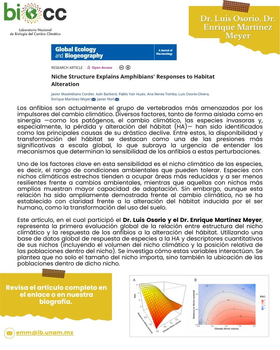 "Niche structure explains amphibians´responses to habitat alteration", artículo publicado en Global Ecology and Biogeography, donde se tiene la participación del Dr. Luis Osorio y el Dr. Enrique Martines Meyer.
Te dejamos el enlace:
onlinelibrary.wiley.com/doi/10.1111/ge…