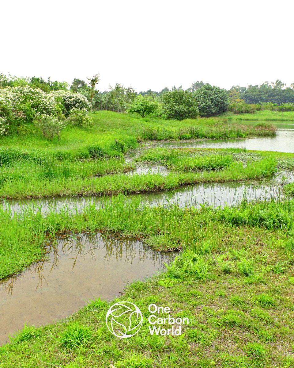 In a world facing rising temperatures, floodings, and extreme weather patterns, adaptation is key to resilience. This year, the European Climate Change Adaptation Conference (ECCA2025) will be organised around five key themes: ecca2025.eu