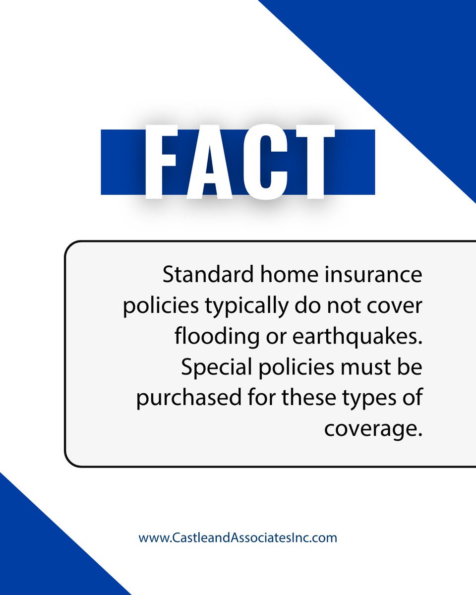 Travis Castle tweet media