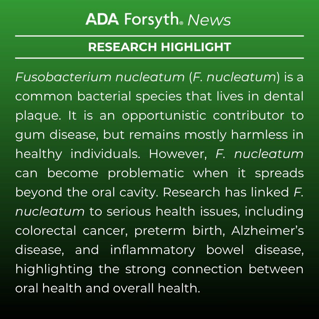 ForsythResearch's tweet image. AFI scientists Dr. Pu-Ting Dong, Dr. Xuesong He, and Ms. Lujia Cen, along with their collaborators, have uncovered how host cells may inhibit the growth of F. nucleatum, a key bacterium linked to periodontitis and other systemic diseases.
Learn more: ow.ly/kij950W9hls