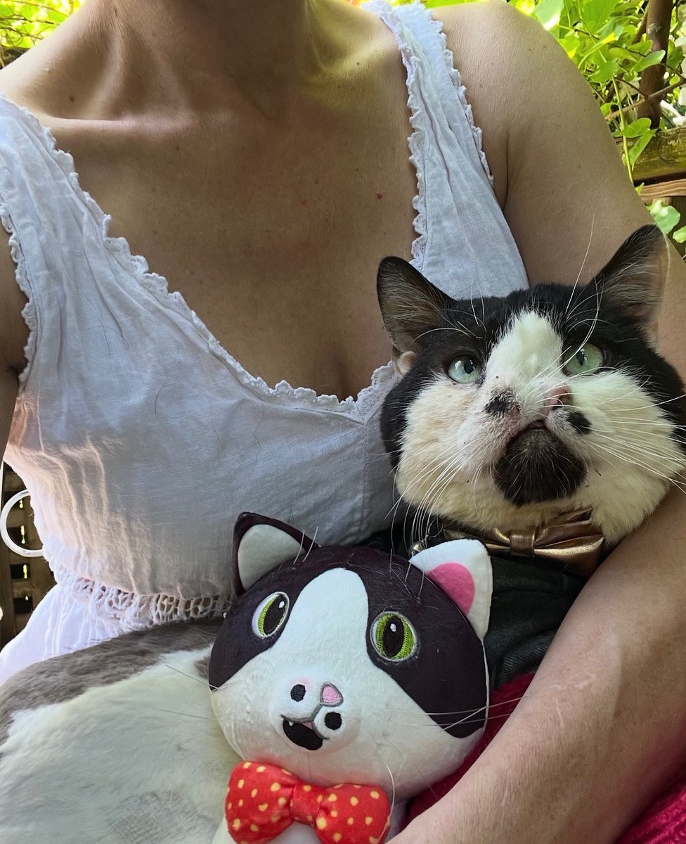 MemphisNose's tweet image. plushifylab.com/products/memph…
Urgent Memphy message ‼️
we have to reach a goal of 200 for the memphy plushies to be produced link above, we are only at 47 with only 9 days left 🚨🚨🚨
If you wanted a plushy + in bio! Please share like crazy so we can reach our goal! 🙏🏼🎉🐈⬛