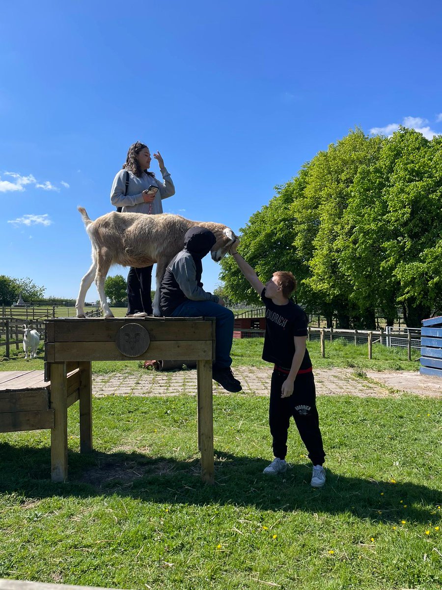 Did you know that choosing a Gift Aided ticket means our small charity gets more at no extra cost to you?

By saying yes to Gift aid, we an claim an extra 25p for every £1 you spend. That means more support to the young people from your local area and our lovely animals!💚
