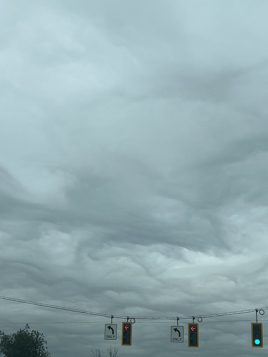 AmYisraelChaiNY's tweet image. It’s just absolutely devastating. We haven’t had sun since MEMORIAL DAY in Hudson valley NY. that was last time I saw blue. #WeathModification #chemtrails