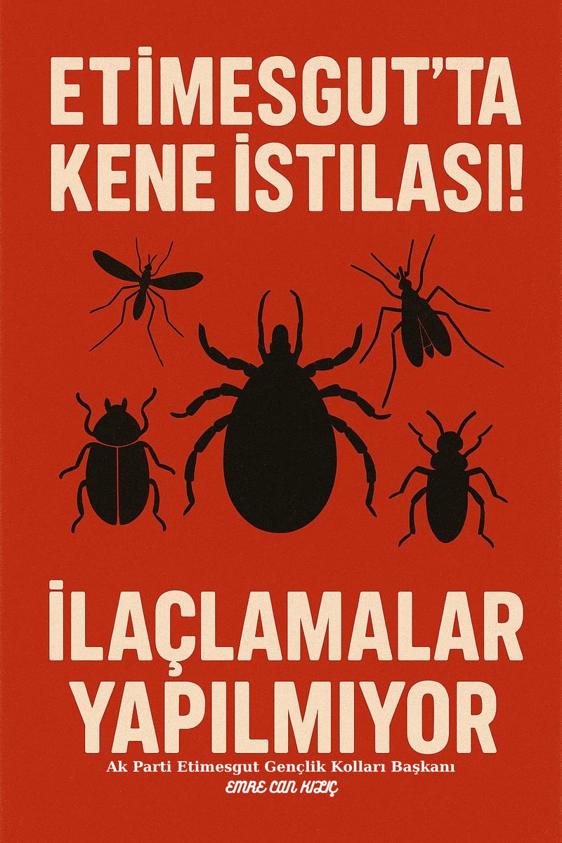 “Kene Var, Önlem Yok: Etimesgut Sahipsiz mi?”⏳