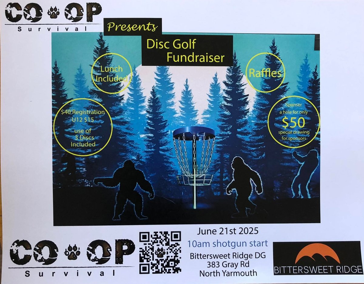I play disc golf maybe twice a year and always for charity. This Saturday in Yarmouth money is being raised for caregivers of Veterans. Pine Tree Bee is an official sponsor of making the world a better place.