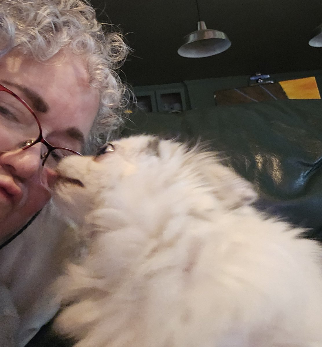 Sweet little Cookie 🍪 has left momma &amp; Duke to go be an angel 😇. Momma is devastated. #kindheartedCookie 
#ForeverLoved #angelCookie🍪