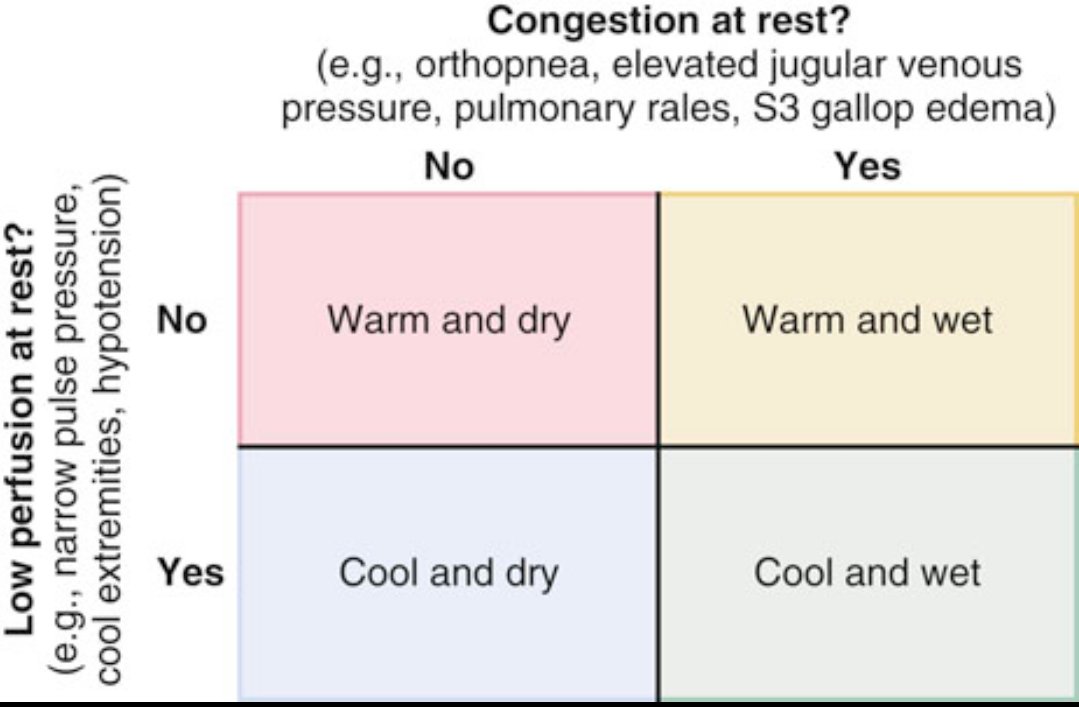 How do we classify heart failure patients at the bedside?

This 2×2 table is a simple clinical tool used to assess patients with heart failure based on two key questions:

1️⃣ Is there congestion at rest?
Look for signs like orthopnea, elevated jugular venous pressure, pulmonary