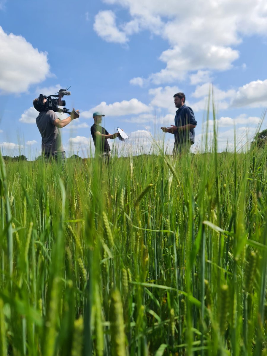 📽️Today we're back at the Fring Estate in Norfolk with <a href="/Matt3ngland/">Matt England</a>, <a href="/ruralpodmedia/">RuralPod Media</a> and Down to Earth Media, to wrap up the filming of our #LivingMulches video🌾. 

The finished video will be launching SOON - stay tuned for updates (you won't want to miss this one!) 👀