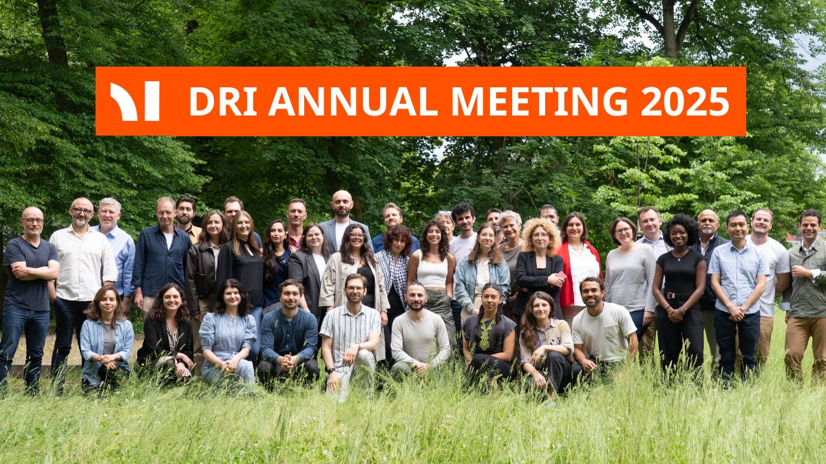 Democracy Reporting International tweet media