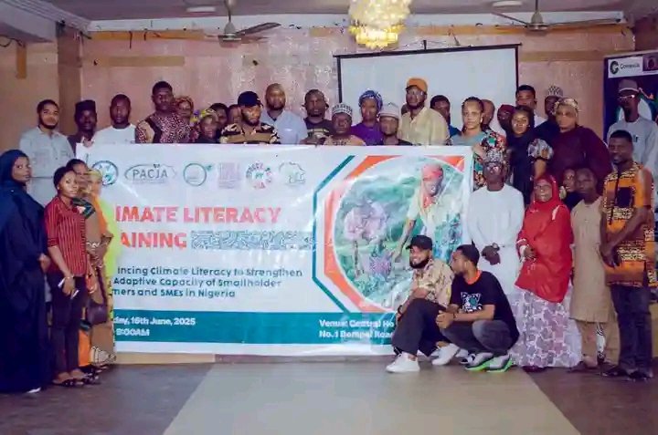 Mercy Stephen tweet media