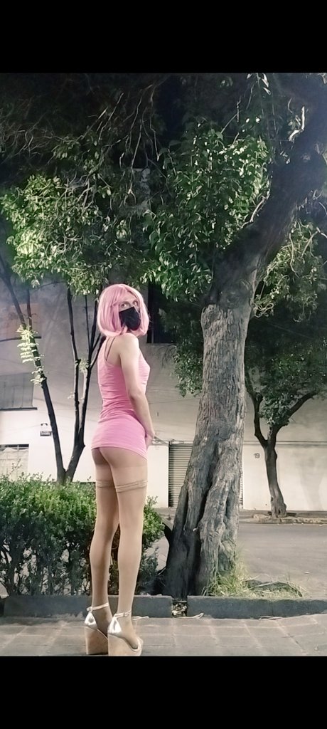 TvsSusana's tweet photo. Soy travesti de closet ojalá puedan ayudarme a tener seguidores por aquí saludos 😘 https://t.co/6cn1KDxYB3