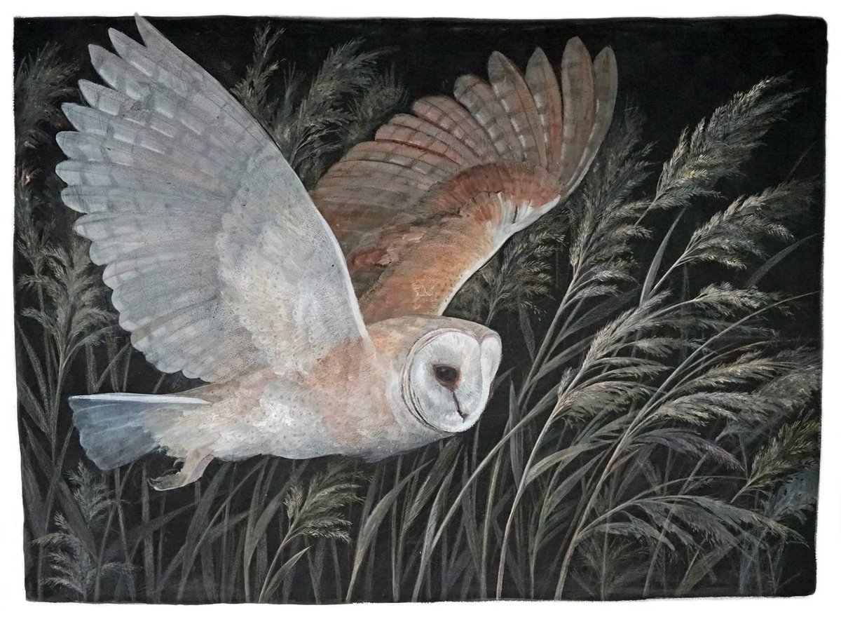 Emma Faull (British, b. 1956)
Barn Owl hunting