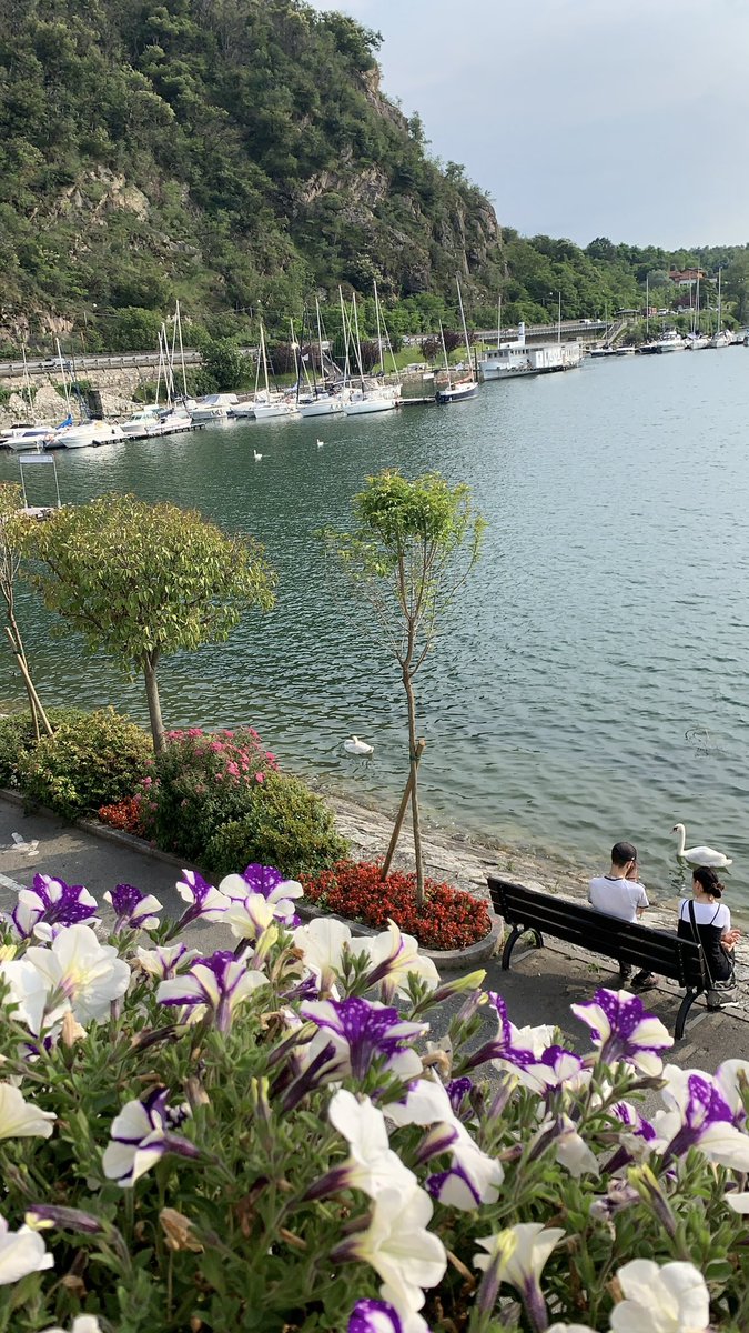 #مساء_الخير 🌹

🚨🚨 عشاق الشمال الإيطالي 🇮🇹 

جمال طبيعي مخفي 🤔🤔
من مطار مالبينسا ✈️ 55km 👌

بعيداً عن الزحام وفي حضن جبال الألب ⛰️⛰️⛰️… تقع مدينة Baveno الساحرة على ضفاف بحيرة ماجيوري😍
مزيج خرافي من الطبيعة الهادئة والبيوت الملونة والجزر الأسطورية القريبة.
إن كنت تبحث عن